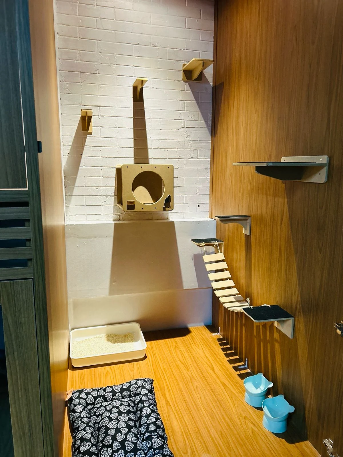 Suíte master do hotel de gatos, com plataformas verticais e arranhador