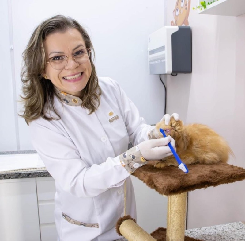 Tatiana Palma Durlo cuidando de um gato no consultório